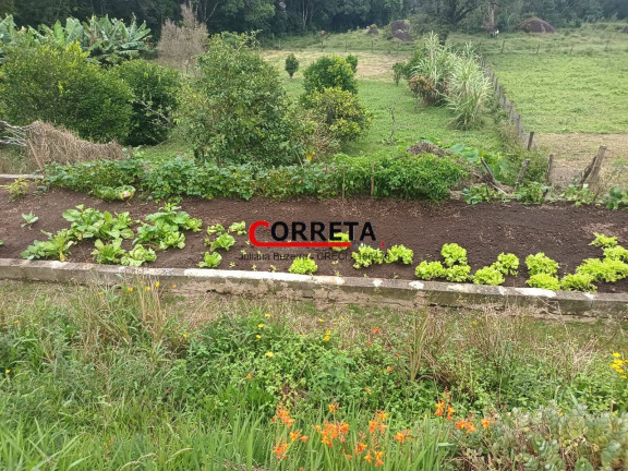 Imagem Chácara com 3 Quartos à Venda, 8 m² em Vargem Do Salto - Ibiúna