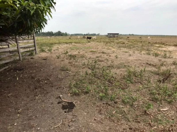 Imagem Fazenda à Venda, 1 m² em Zona Rural - Sinop Imagem Fazenda à Venda, 1 m² em Zona Rural - Sinop