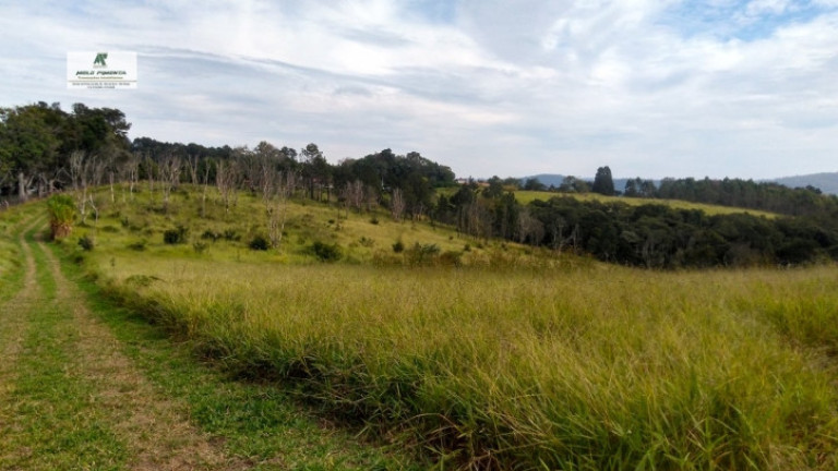 Imagem Terreno à Venda, 235.000 m² em Sorocamirim - São Roque Imagem Terreno à Venda, 235.000 m² em Sorocamirim - São Roque