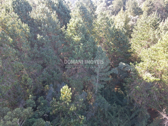 Imagem Terreno à Venda, 4.300 m² em Região Do Alto Da Boa Vista - Campos Do Jordão Imagem Terreno à Venda, 4.300 m² em Região Do Alto Da Boa Vista - Campos Do Jordão