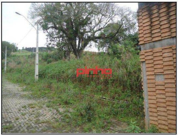 Imagem Terreno à Venda, 8 m² em Fundo Canoas - Rio Do Sul Imagem Terreno à Venda, 8 m² em Fundo Canoas - Rio Do Sul