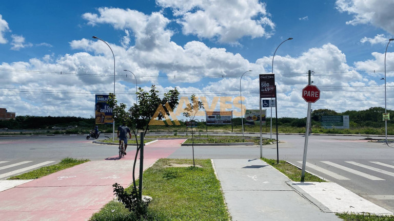 Imagem Terreno à Venda, 5.000 m² em Parque Ipê - Feira De Santana