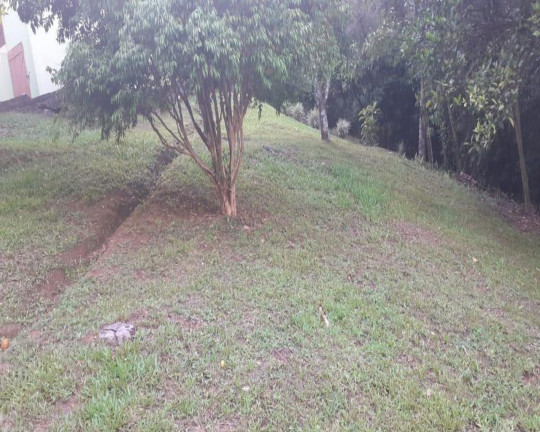 Imagem Imóvel com 3 Quartos à Venda,  em Linha Brasil - Nova Petrópolis