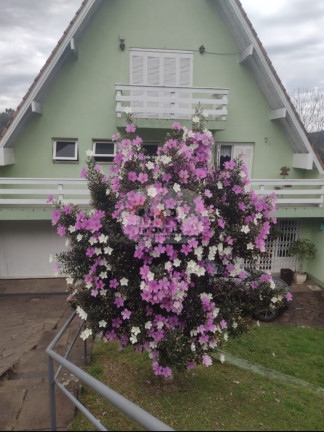 Imagem Casa com 4 Quartos à Venda, 357 m² em Logradouro - Nova Petrópolis Imagem Casa com 4 Quartos à Venda, 357 m² em Logradouro - Nova Petrópolis