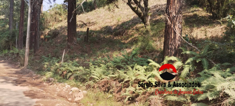 Imagem Terreno à Venda, 1 m² em Alto Do Boa Vista - Campos Do Jordão Imagem Terreno à Venda, 1 m² em Alto Do Boa Vista - Campos Do Jordão