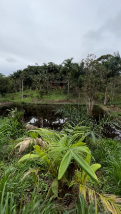 Imagem Chácara com 3 Quartos à Venda, 348.600 m² em Centro - Juquiá Imagem Chácara com 3 Quartos à Venda, 348.600 m² em Centro - Juquiá