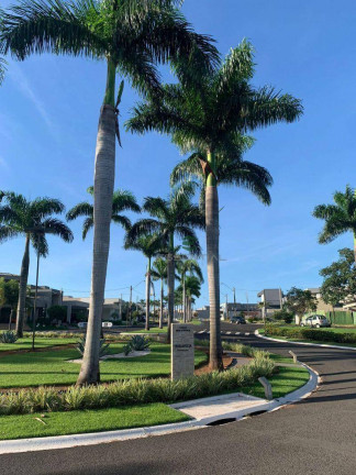 Imagem Terreno à Venda, 377 m² em Condomínio Terra Vista - Mirassol Imagem Terreno à Venda, 377 m² em Condomínio Terra Vista - Mirassol