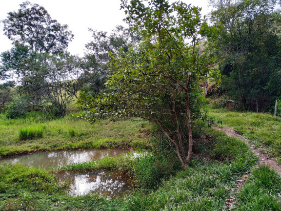 Imagem Terreno à Venda, 19.000 m² em Jardim - Cunha Imagem Terreno à Venda, 19.000 m² em Jardim - Cunha