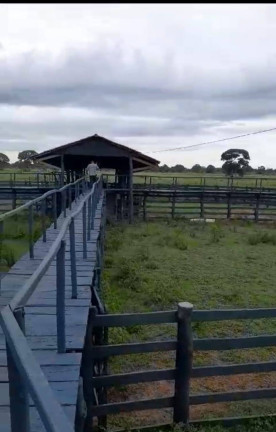 Imagem Fazenda à Venda, 8 m² em Poconé Imagem Fazenda à Venda, 8 m² em Poconé
