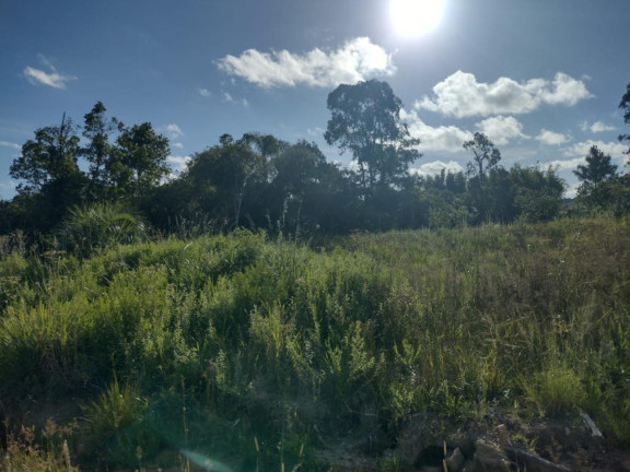 Imagem Terreno à Venda, 20.000 m² em Alto Perequê - Arroio Do Padre Imagem Terreno à Venda, 20.000 m² em Alto Perequê - Arroio Do Padre