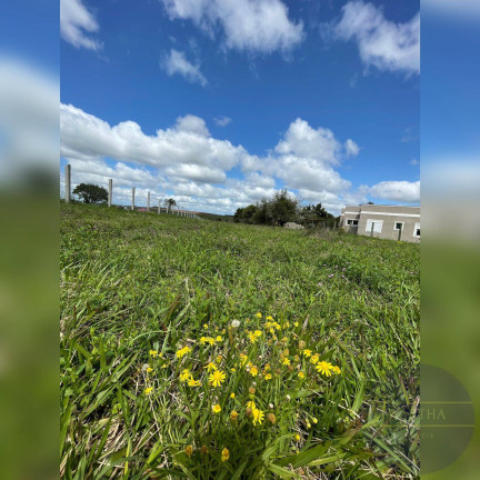 Imagem Terreno à Venda, 1 m² em Gravataí Imagem Terreno à Venda, 1 m² em Gravataí