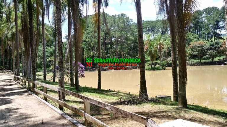 Imagem Chácara à Venda, 490.000 m² em Piedade - Caçapava Imagem Chácara à Venda, 490.000 m² em Piedade - Caçapava