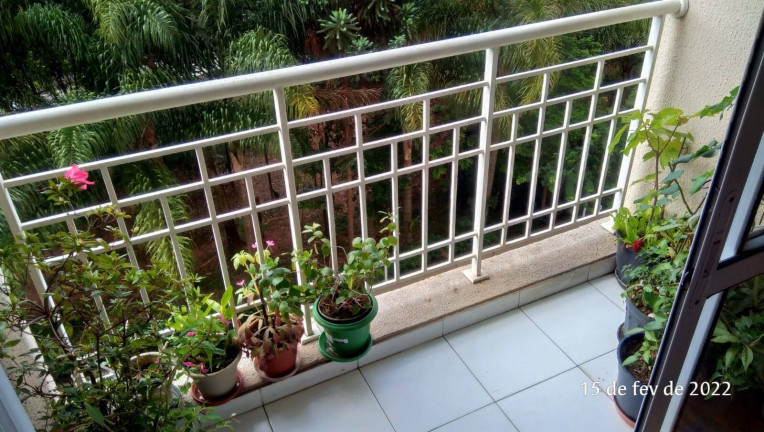 Imagem Apartamento com 3 Quartos à Venda, 80 m² em Vila Moraes - São Paulo Imagem Apartamento com 3 Quartos à Venda, 80 m² em Vila Moraes - São Paulo