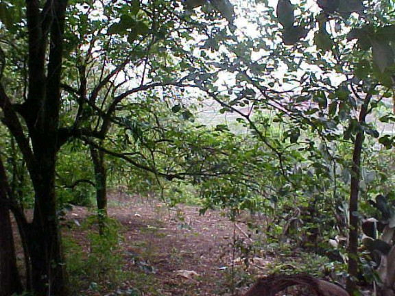 Imagem Imóvel à Venda, 87.900 m² em Jardim Do Cedro - São José Do Rio Preto Imagem Imóvel à Venda, 87.900 m² em Jardim Do Cedro - São José Do Rio Preto