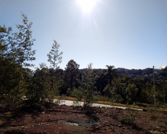 Imagem Imóvel à Venda, 394 m² em Bavária - Nova Petrópolis