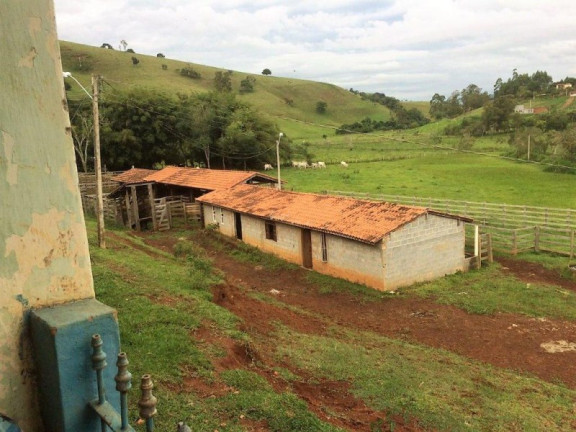 Imagem Imóvel com 3 Quartos à Venda, 448.000 m² em Roseta - Cambuí Imagem Imóvel com 3 Quartos à Venda, 448.000 m² em Roseta - Cambuí
