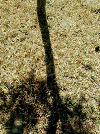 Imagem Fazenda à Venda, 40 m² em Barro Vermelho - Cunha Imagem Fazenda à Venda, 40 m² em Barro Vermelho - Cunha