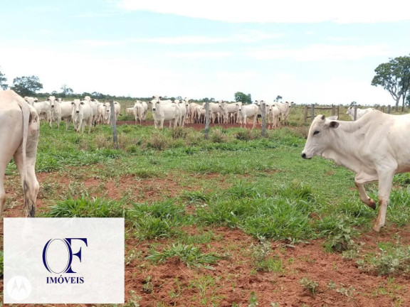Imagem Fazenda à Venda, 3.097 m² em Rural - Chapadão Do Sul Imagem Fazenda à Venda, 3.097 m² em Rural - Chapadão Do Sul
