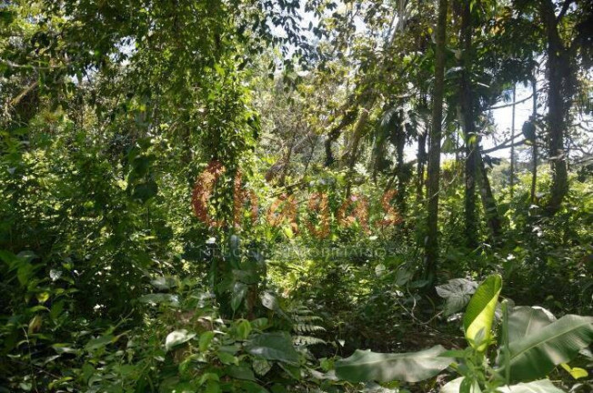 Imagem Terreno à Venda, 3.696 m² em Barranco Alto - Caraguatatuba