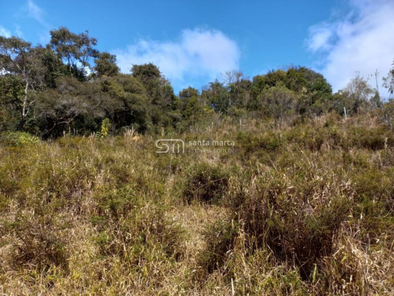 Imagem Imóvel à Venda, 45.900 m² em Bairro Da Estaca - Itamonte