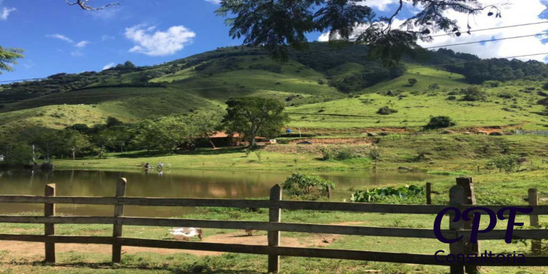 Imagem Imóvel com 3 Quartos à Venda, 5 m² em Centro - Ouro Fino