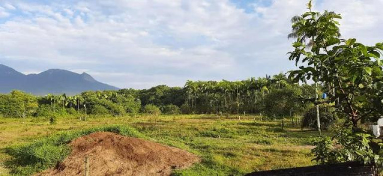 Imagem Imóvel com 2 Quartos à Venda, 111.000 m² em Alexandra - Paranagua