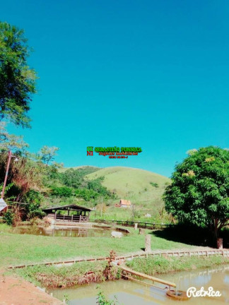 Chácara com 2 Quartos à Venda, 48.000 m² em Centro - Paraibuna