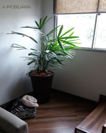 Imagem Imóvel com 3 Quartos à Venda, 120 m² em Taboão - São Bernardo Do Campo