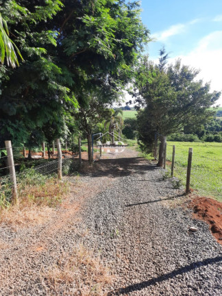 Imóvel à Venda, 48.000 m² em Ponte De Tábua - Artur Nogueira