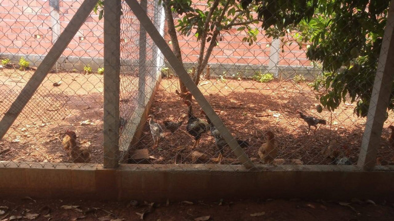 Imagem Casa com 7 Quartos à Venda, 500 m² em Centro - Boituva