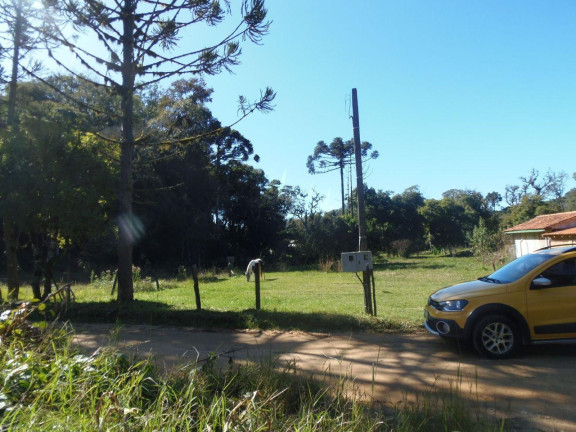 Imagem Terreno à Venda, 515 m² em Bateias - Campo Largo Imagem Terreno à Venda, 515 m² em Bateias - Campo Largo