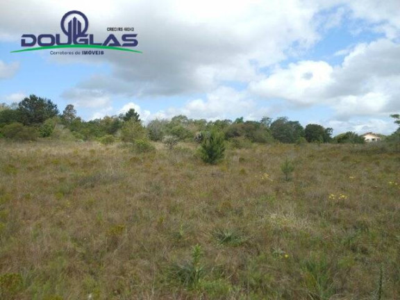 Imagem Imóvel Comercial à Venda, 3.640 m² em Morro Grande - Viamão Imagem Imóvel Comercial à Venda, 3.640 m² em Morro Grande - Viamão