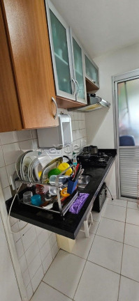 Imagem Apartamento com 2 Quartos à Venda, 47 m² em Rio Pequeno - São Paulo