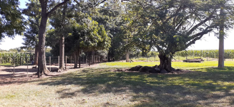 Imagem Fazenda à Venda, 158 m² em Rural - Avaré Imagem Fazenda à Venda, 158 m² em Rural - Avaré