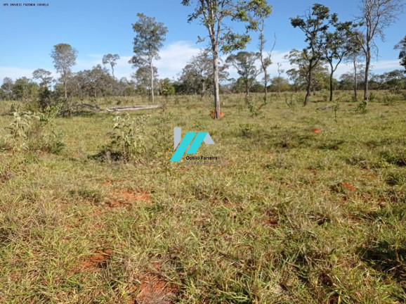 Imagem Fazenda à Venda, 25 m² em Zona Rural - Curvelo Imagem Fazenda à Venda, 25 m² em Zona Rural - Curvelo