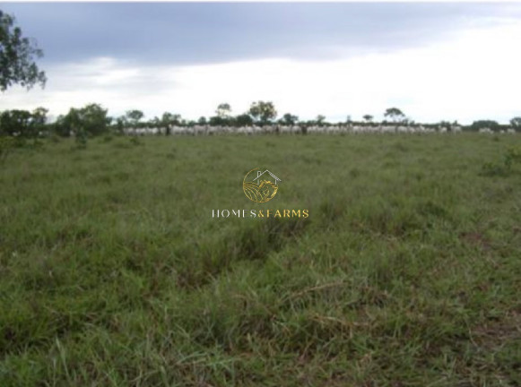 Imagem Imóvel com 3 Quartos à Venda, 83.400 m² em Centro - São Félix Do Araguaia Imagem Imóvel com 3 Quartos à Venda, 83.400 m² em Centro - São Félix Do Araguaia
