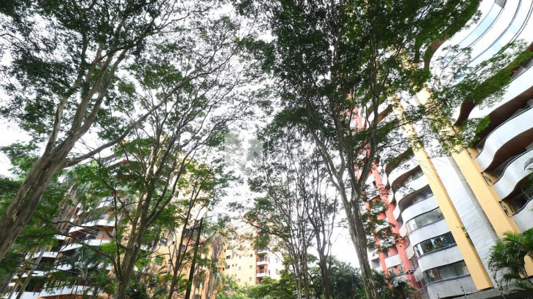 Imagem Apartamento com 3 Quartos à Venda, 160 m² em Vila Andrade - São Paulo Imagem Apartamento com 3 Quartos à Venda, 160 m² em Vila Andrade - São Paulo