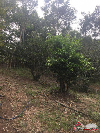 Imagem Chácara com 2 Quartos à Venda, 26.300 m² em Guararema Imagem Chácara com 2 Quartos à Venda, 26.300 m² em Guararema