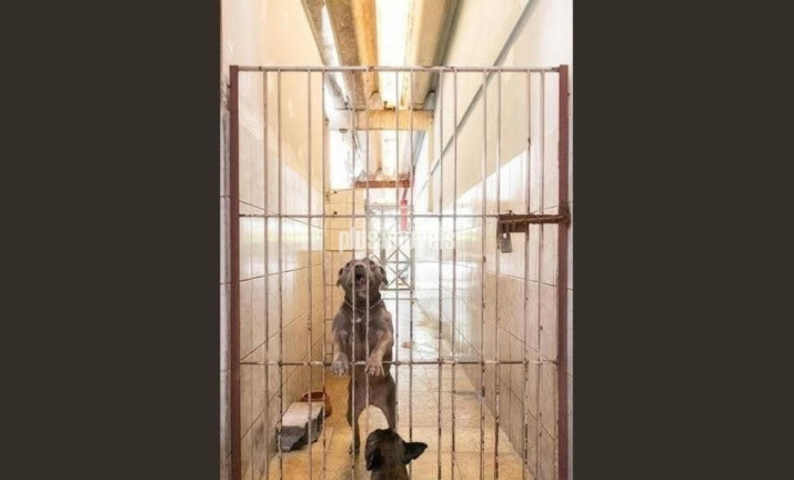 Imagem Casa com 2 Quartos à Venda, 151 m² em Planalto Paulista - São Paulo Imagem Casa com 2 Quartos à Venda, 151 m² em Planalto Paulista - São Paulo
