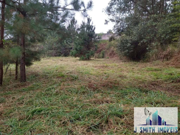 Imagem Terreno à Venda, 10 m² em Jardim Guerreiro - Cotia Imagem Terreno à Venda, 10 m² em Jardim Guerreiro - Cotia