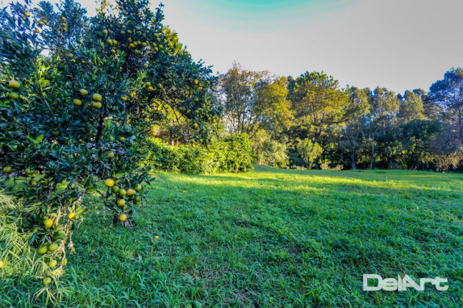 Imagem Chácara com 4 Quartos à Venda, 200 m² em área Rural - Mafra