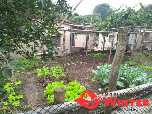 Imagem Casa com 2 Quartos à Venda, 330 m² em Matiel - Feliz Imagem Casa com 2 Quartos à Venda, 330 m² em Matiel - Feliz