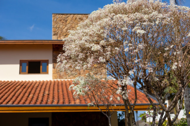 Imagem Casa com 5 Quartos à Venda, 455 m² em Condomínio Moinho Do Vento - Valinhos Imagem Casa com 5 Quartos à Venda, 455 m² em Condomínio Moinho Do Vento - Valinhos