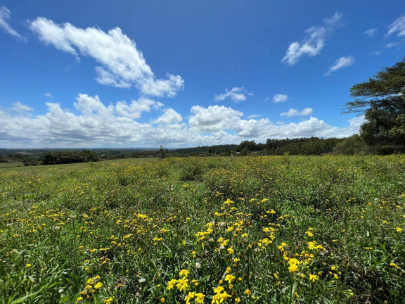 Imagem Chácara à Venda, 5 m² em Fiuza - Viamão Imagem Chácara à Venda, 5 m² em Fiuza - Viamão