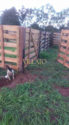 Imagem Fazenda à Venda, 80 m² em Setor Central - Caçu Imagem Fazenda à Venda, 80 m² em Setor Central - Caçu