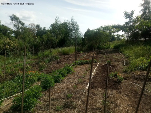 Imagem Terreno à Venda, 4 m² em Pinhal Alto - Nova Petrópolis