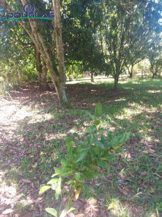 Imagem Terreno à Venda, 600 m² em águas Claras - Viamão Imagem Terreno à Venda, 600 m² em águas Claras - Viamão