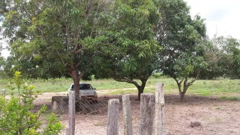 Imagem Fazenda à Venda, 500 m² em Zona Rural - Paranatinga