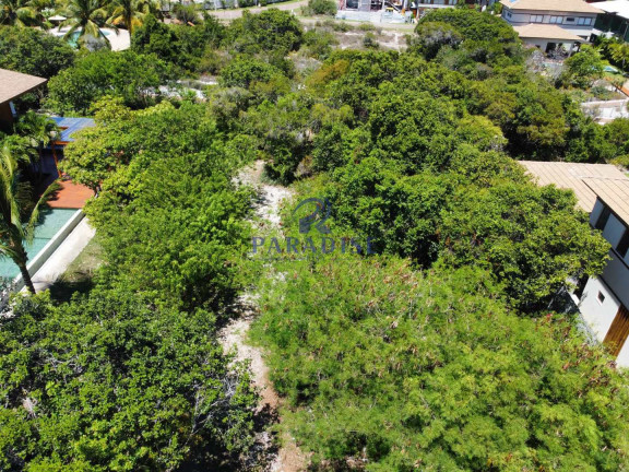 Imagem Terreno à Venda, 350 m² em Praia Do Forte - Mata De São João Imagem Terreno à Venda, 350 m² em Praia Do Forte - Mata De São João
