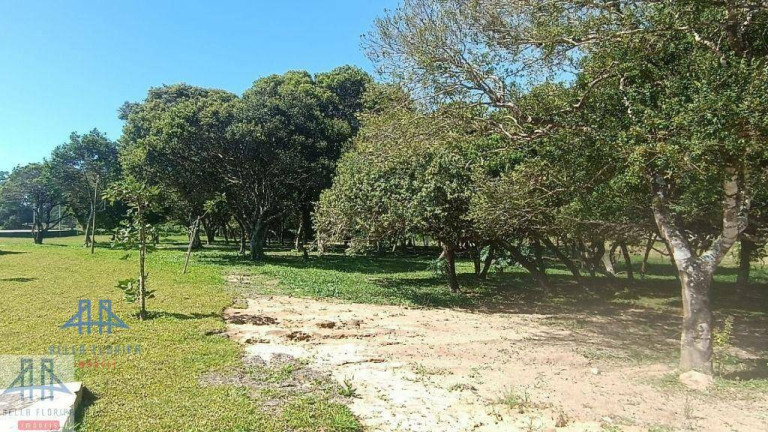 Imagem Terreno à Venda, 600 m² em São João Do Rio Vermelho - Florianópolis Imagem Terreno à Venda, 600 m² em São João Do Rio Vermelho - Florianópolis